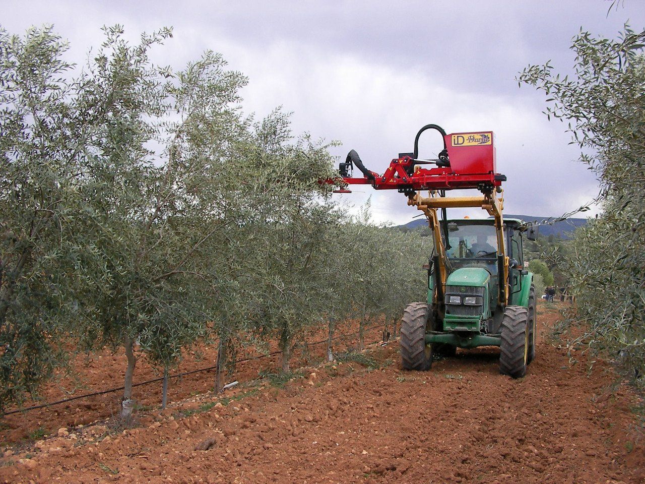 La agricultura continúa evolucionando y existen formas diversas de realizar la poda mecanizada.