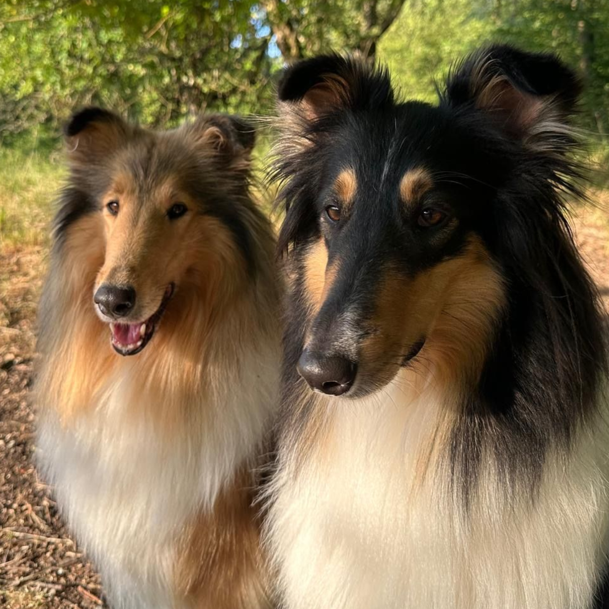 Torvi & Pepper. Sylvia Färber hat die Besitzerin beide Persönlichkeiten entdecken lassen.
