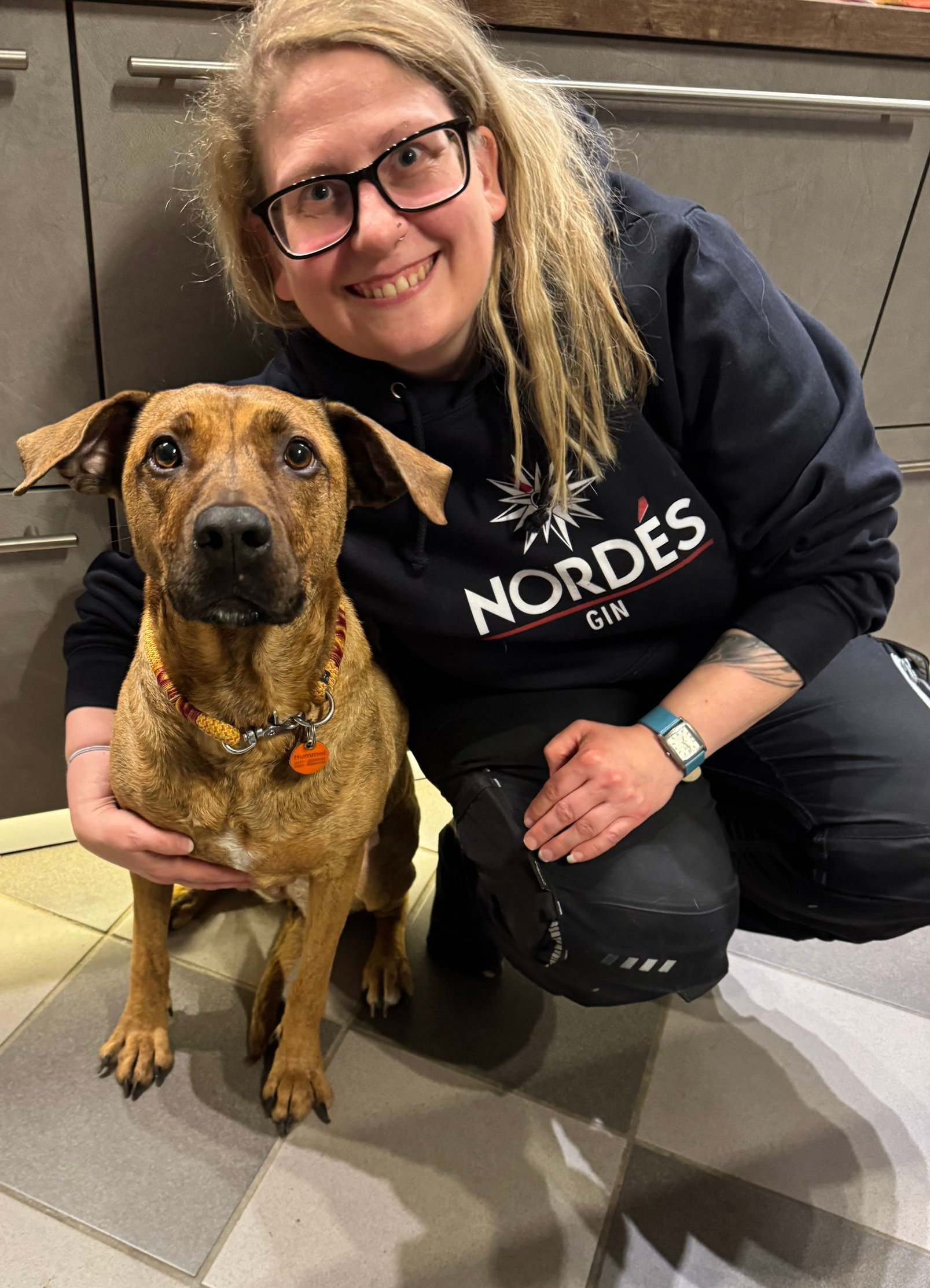 Hummel, auf dem Weg zu mehr Gelassenheit.