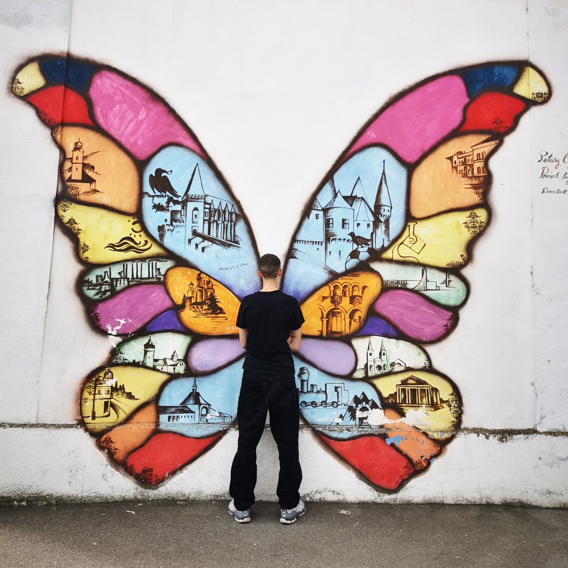Schmetterling