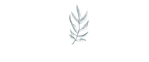 Naturraum-mv Gesche Köpke / Ludewig