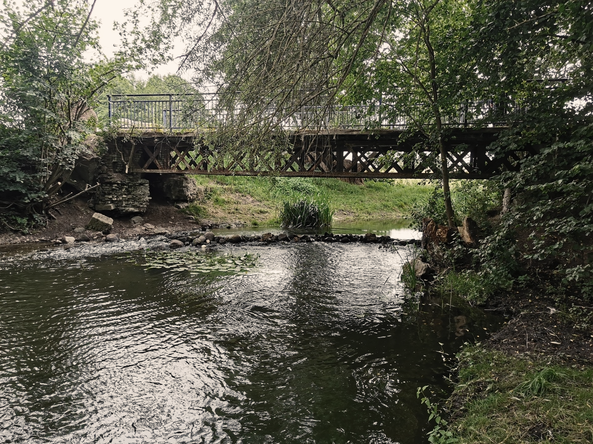 SAP AFB Artenschutzrecht §44 BNatSchG CEF Eingriff Ausgleich Kartierung