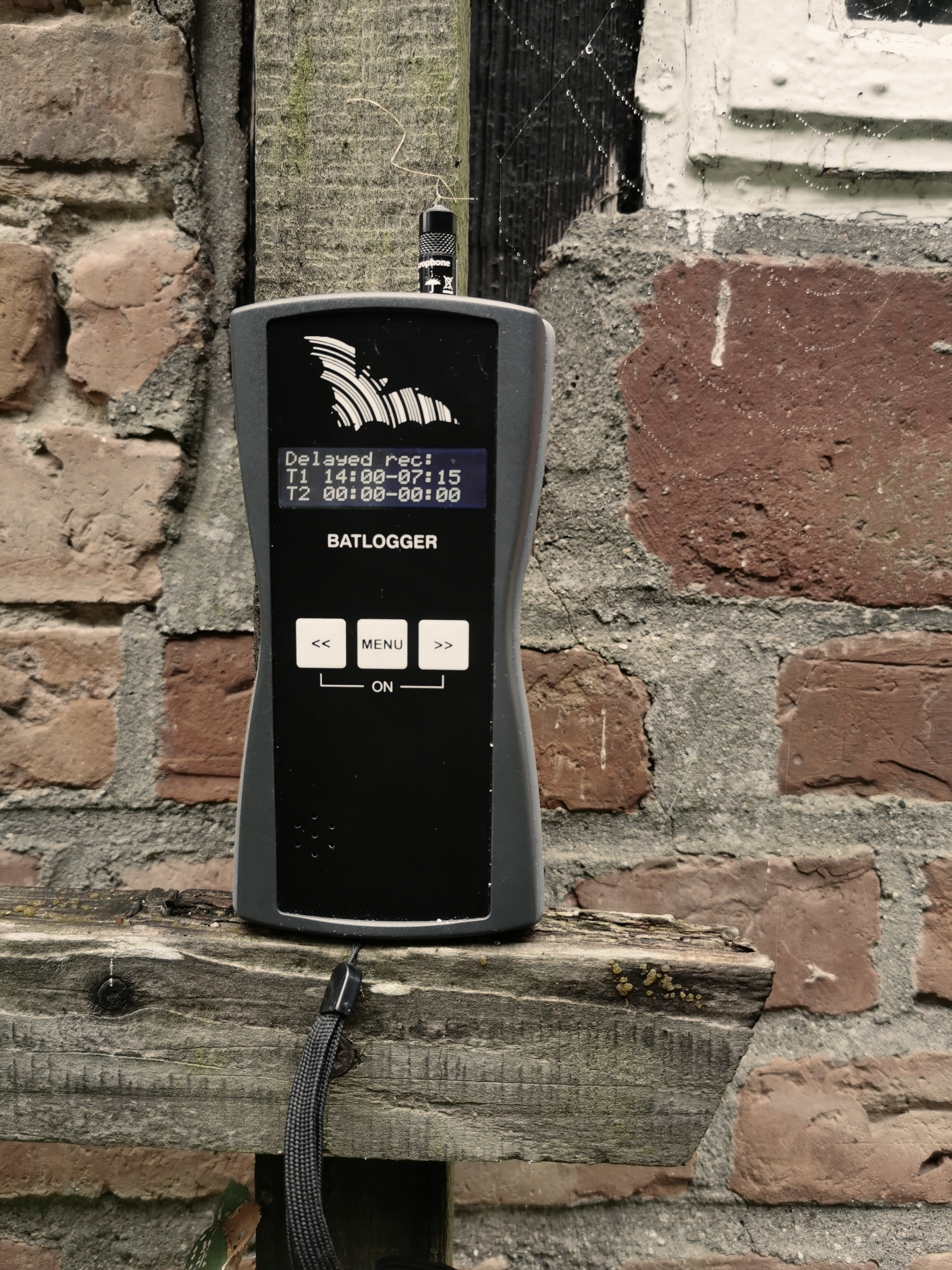 Fledermausdetektor Fledermaus Detektor AFB Artenschutz Ultraschall Batdetektor