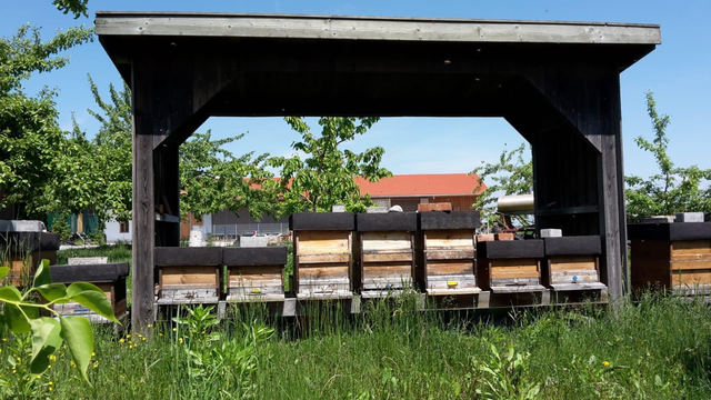 Get Zitat glueckliche huehner For Free Zitat Glueckliche Huehner