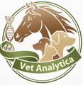 Vet-Analytica
