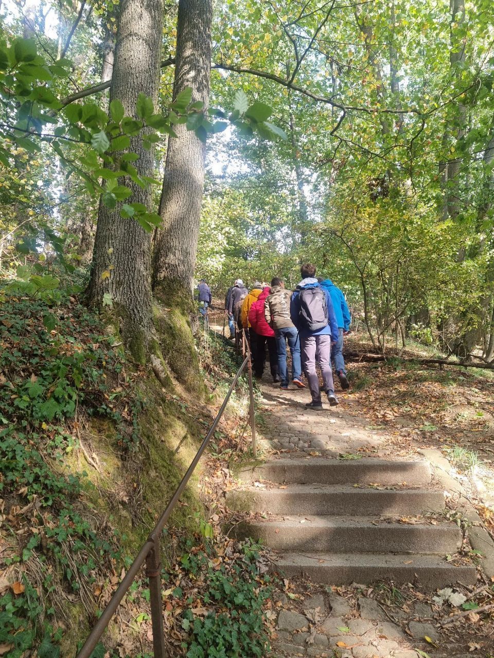 Auf dem Weg