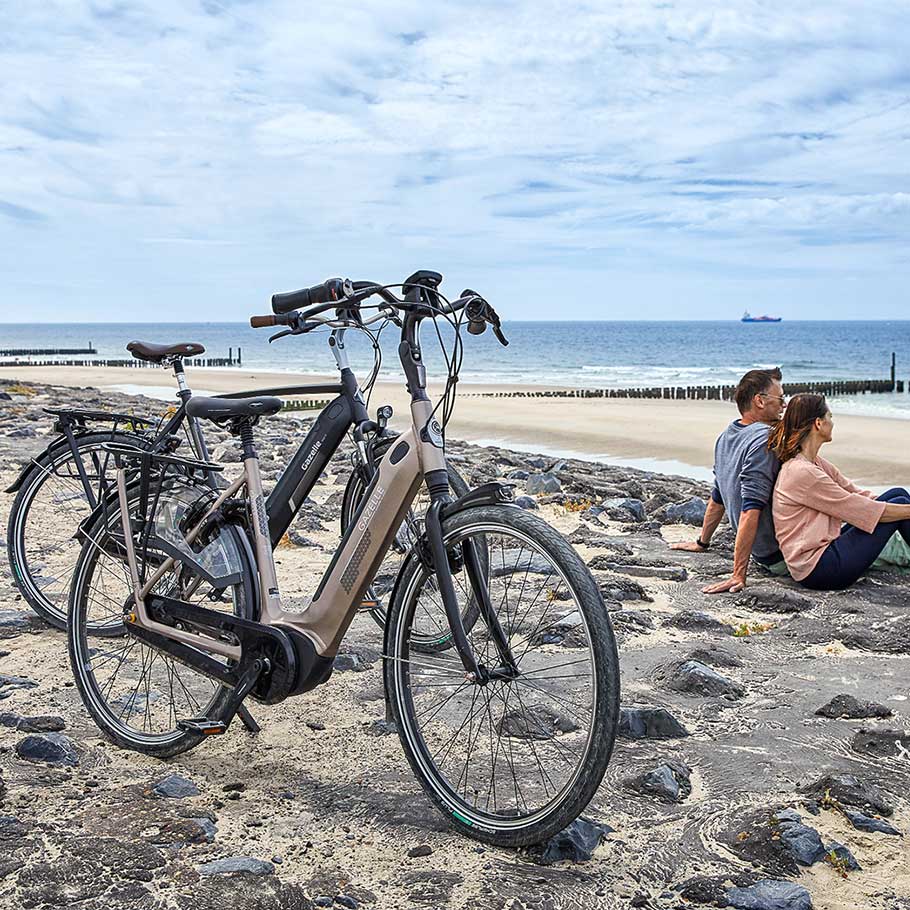 Fahrrad Zweirad Högemann Gazelle Ebike Garrel Bösel Ahlhorn