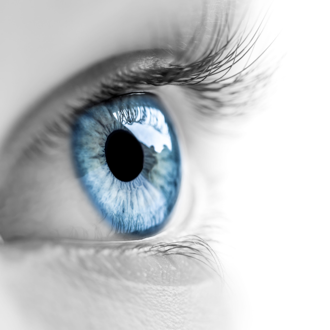 Auge blau freepik