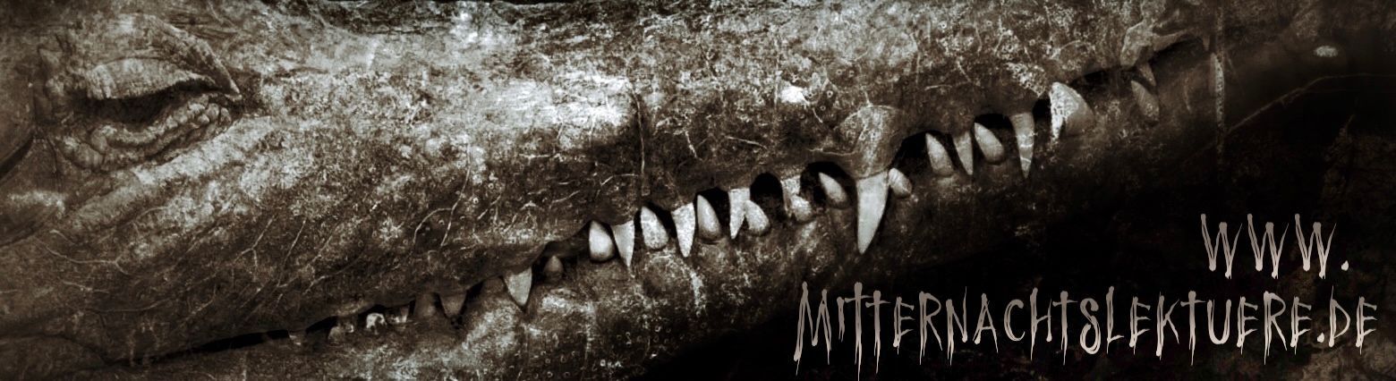 Mitternachtslektüre 