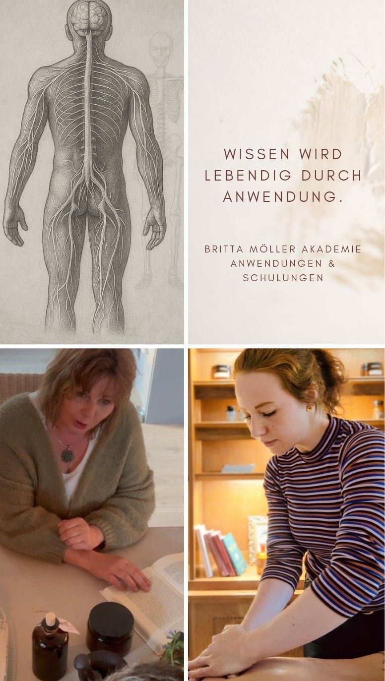 Anatomische Darstellung des Körpers mit dem Hinweis Wissen wird lebendig durch Anwendung