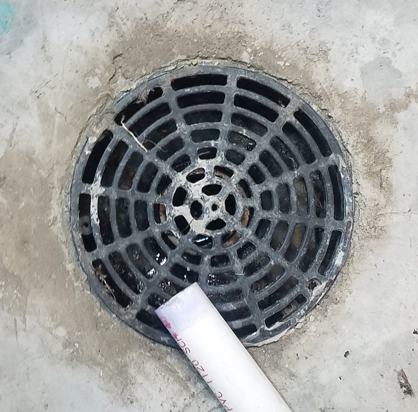 How Much Does It Cost to Replace a Septic Tank and Drain Field?