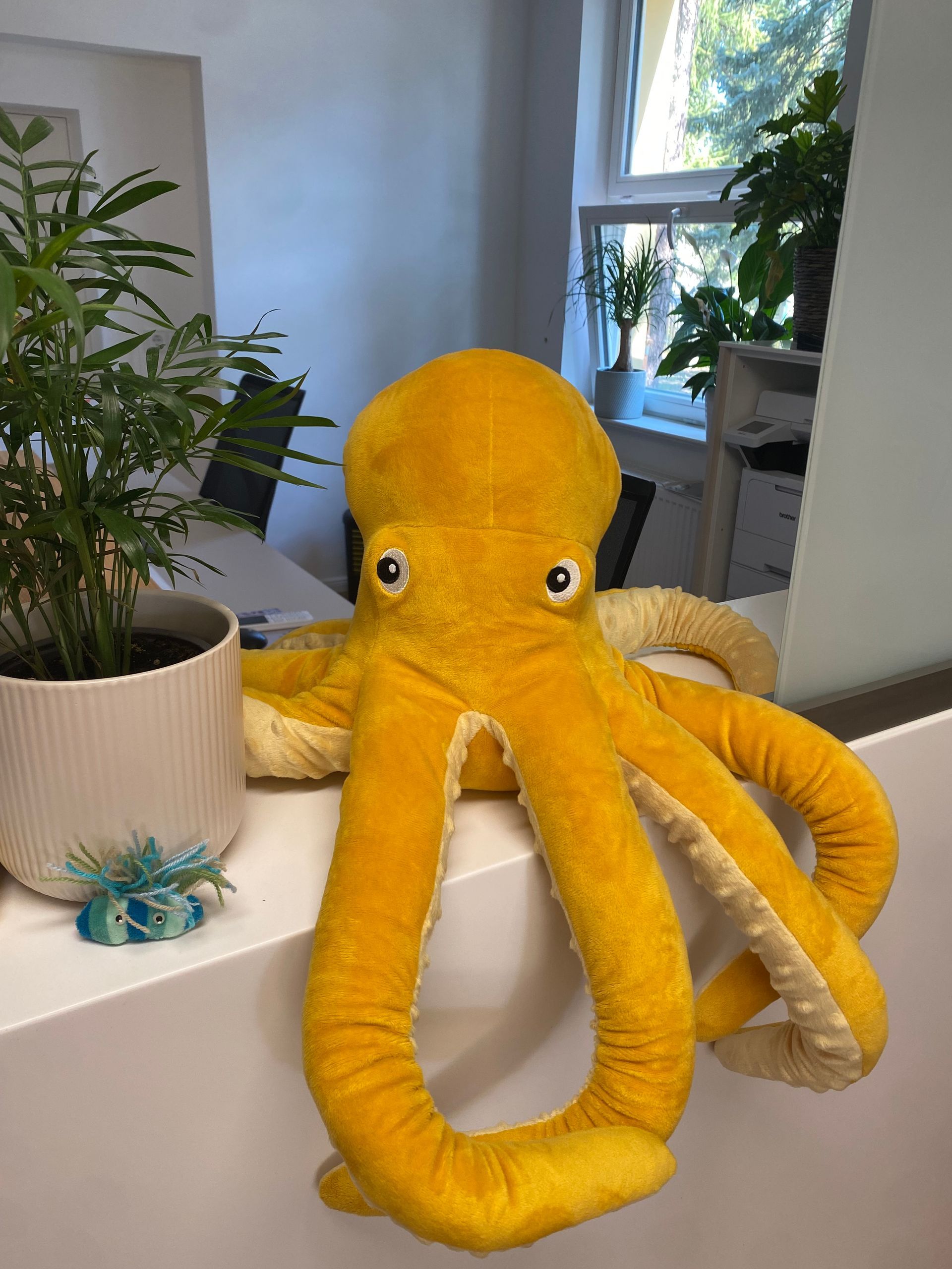 Maskottchen der Arztpraxis in Taucha