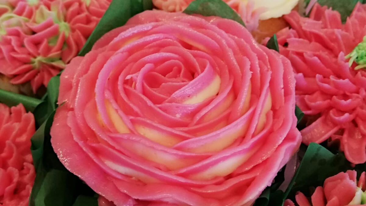 Two Tone pink Italian buttercream piped rose