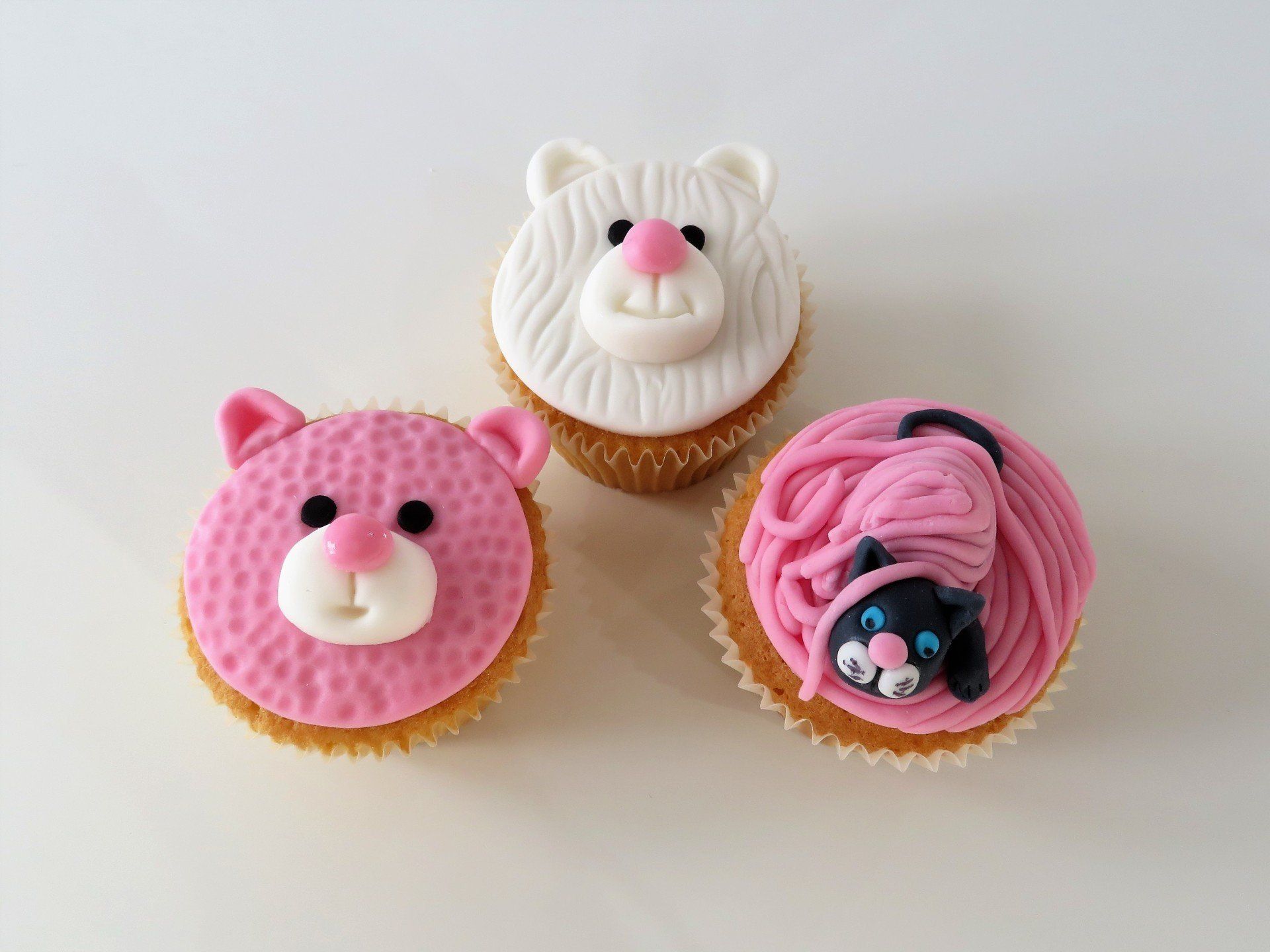 Box 6 cute animal faced novelty cupcakes £15