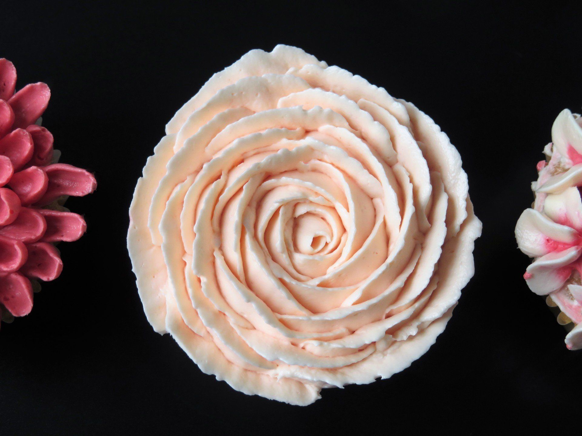 Blush buttercream piped open rose