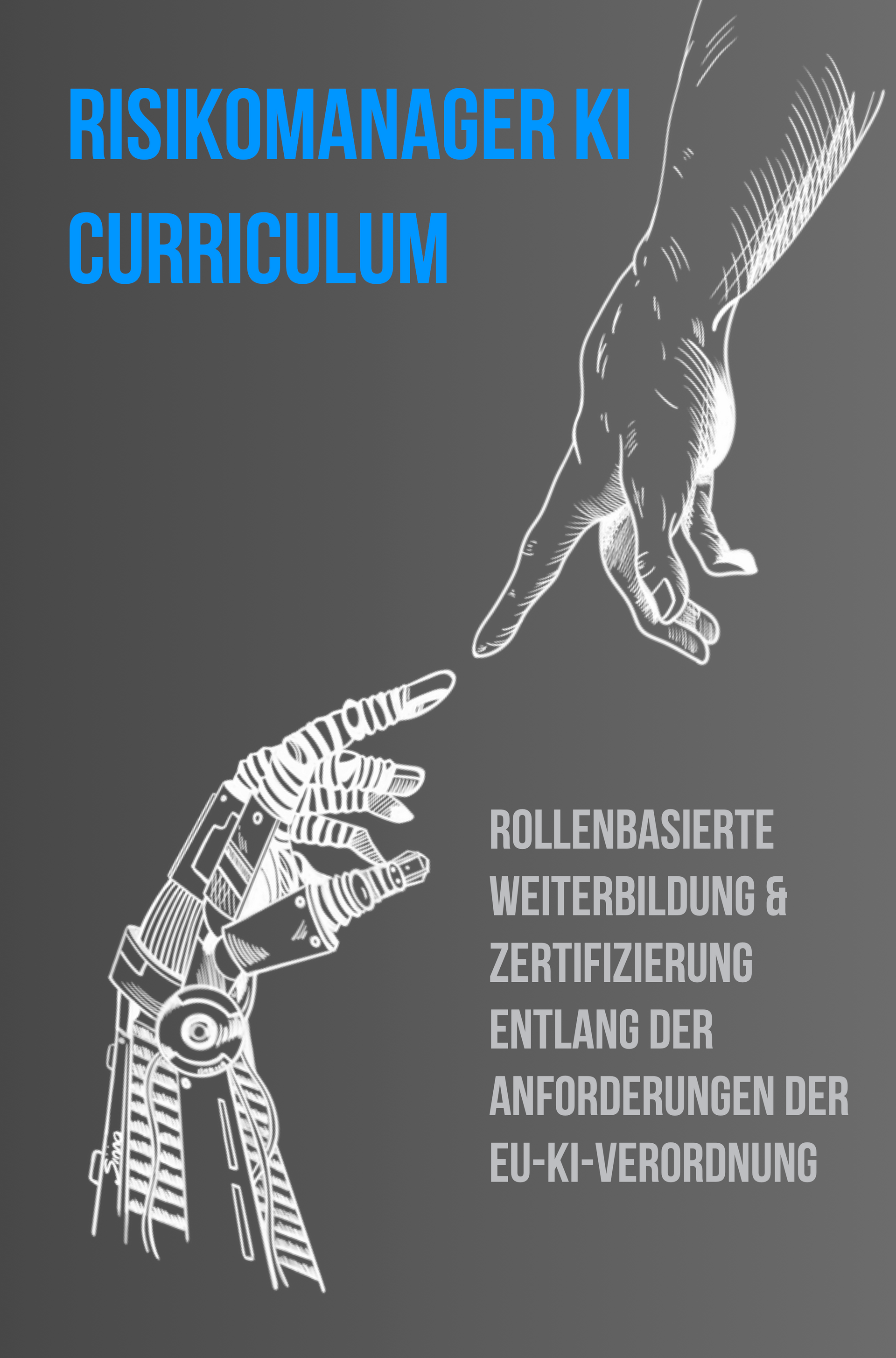 Curriculum Risikomanager KI