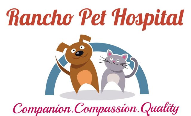 puppy identity collars