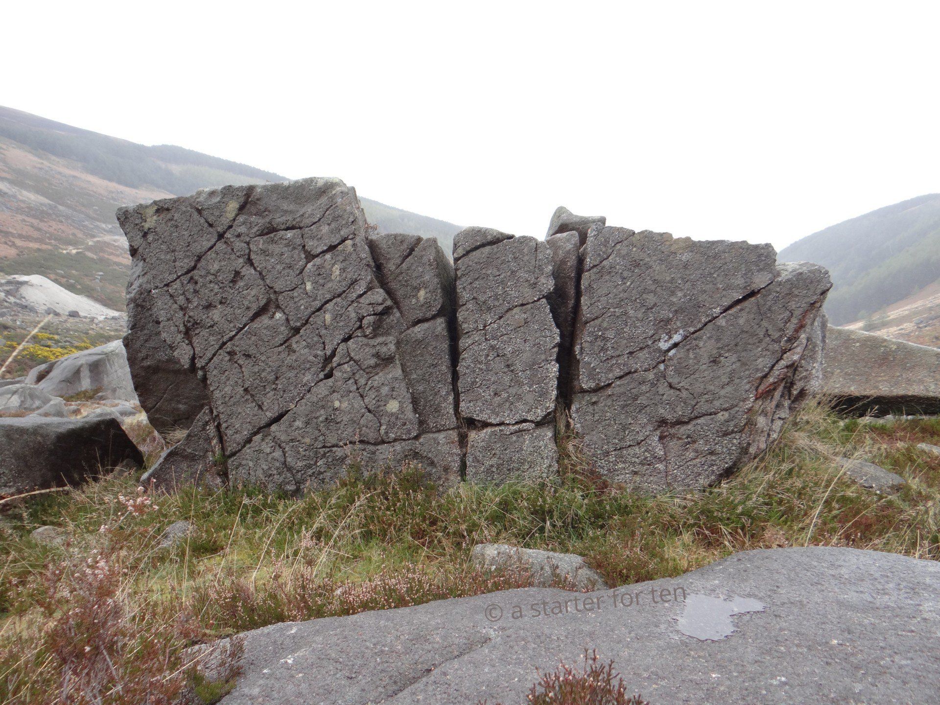 A Starter for Ten: Weird & Wonderful