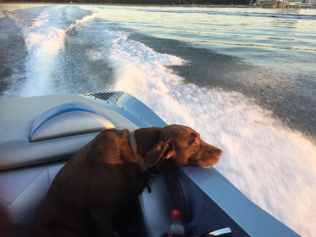 Designer Furniture Furniture Ideas For Every Room Designer Furniture Furniture Ideas For Every Room