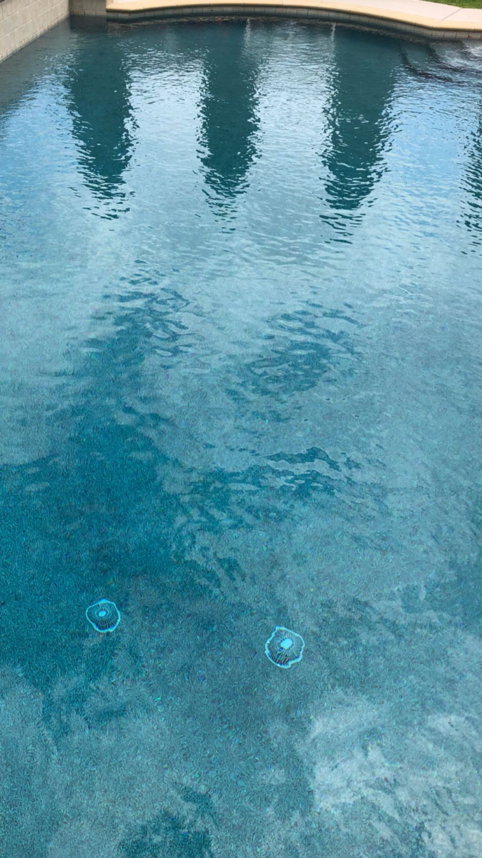 Beverly West Pool services