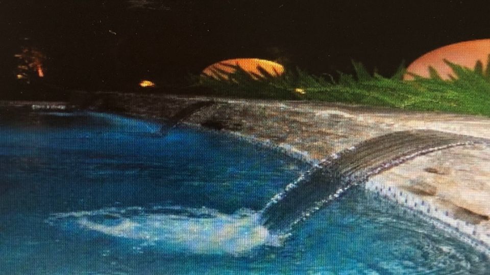 Beverly West Pool services