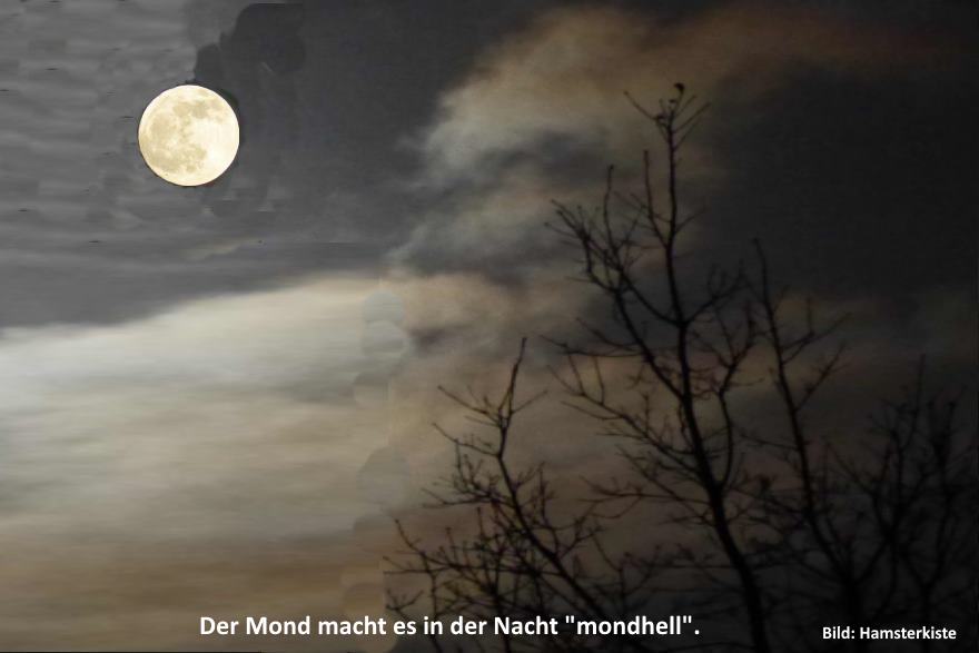 Menschen auf dem Mond