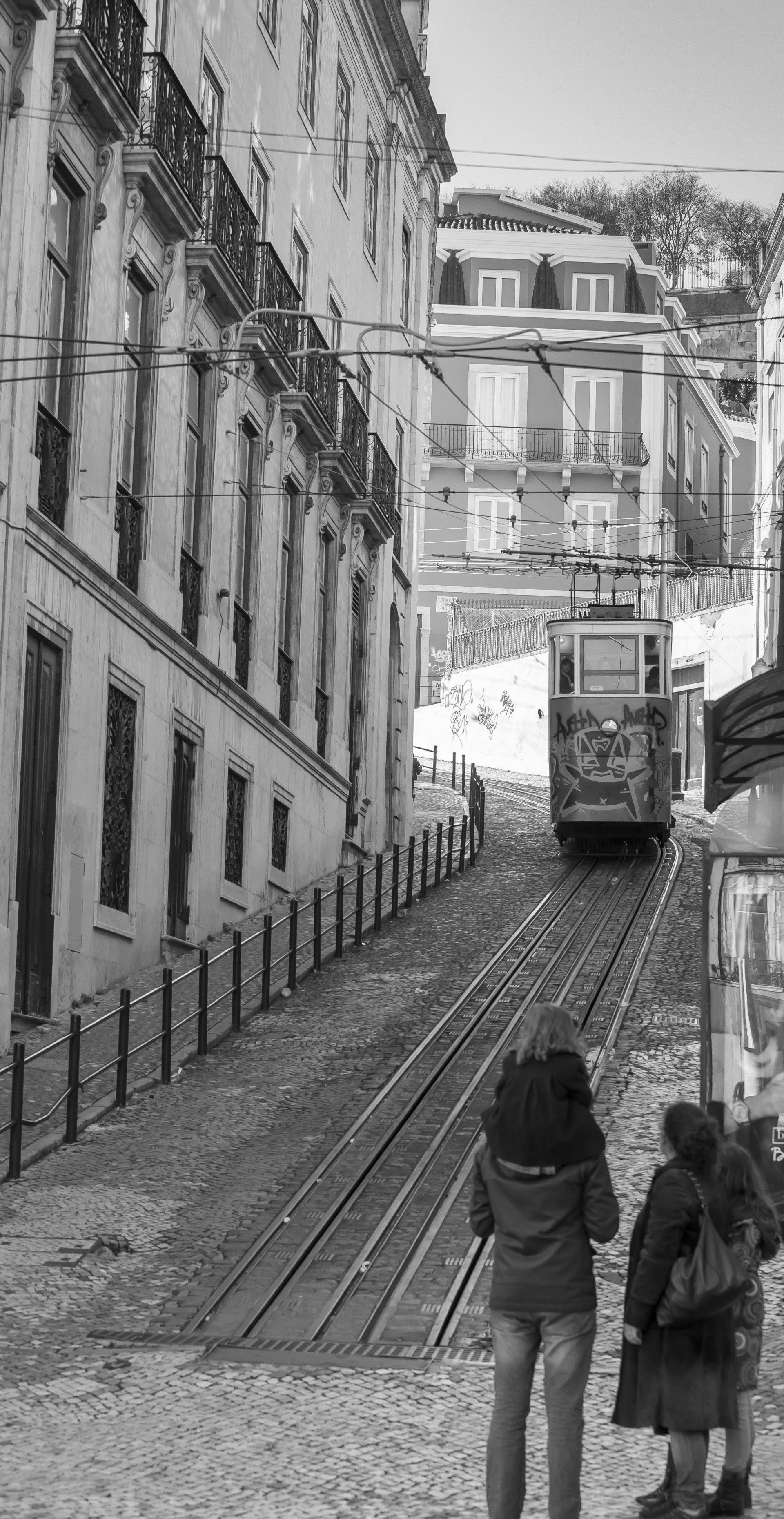 lisboa tranvia 5