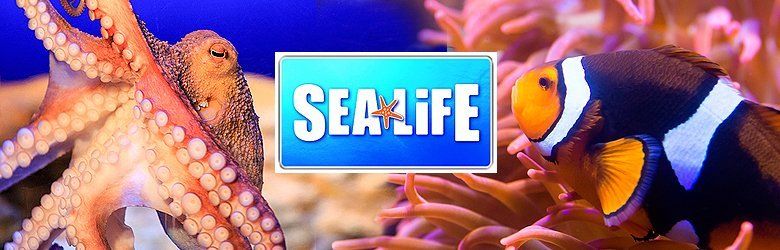 Preise und Öffnungszeiten für SEA LIFE