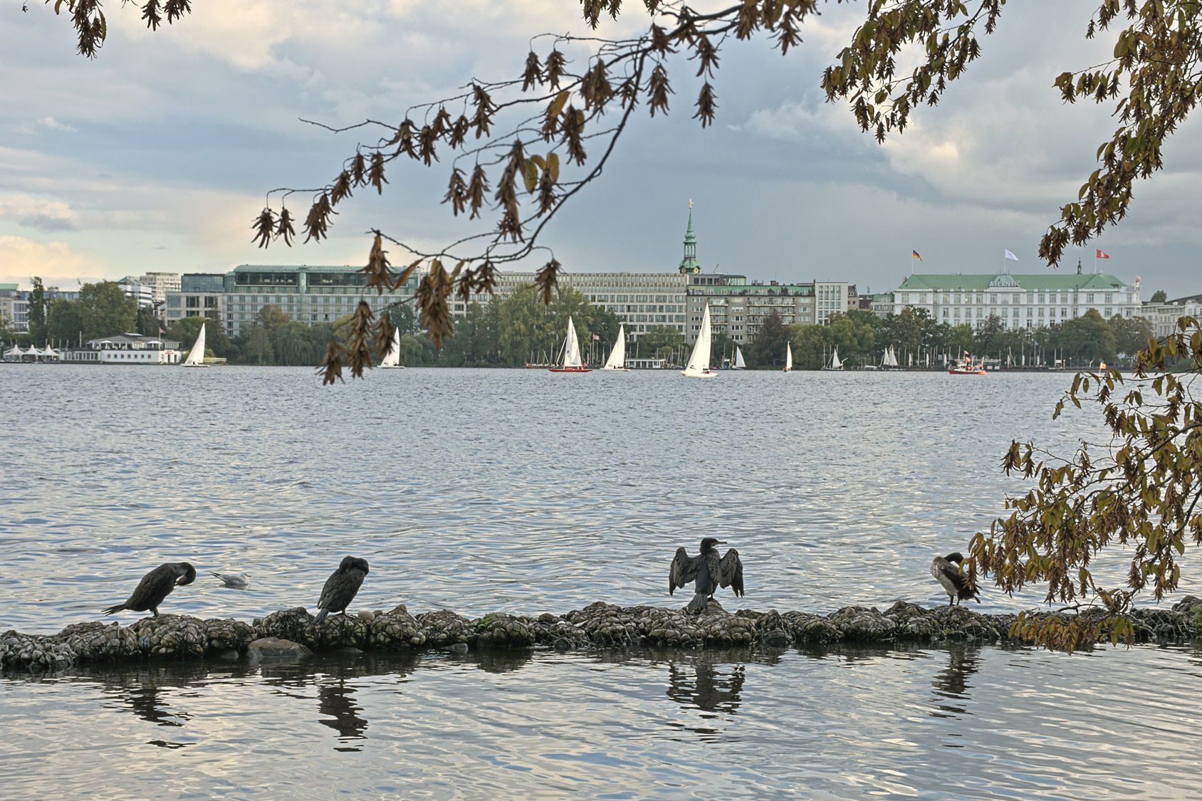 Außenalster Hamburg