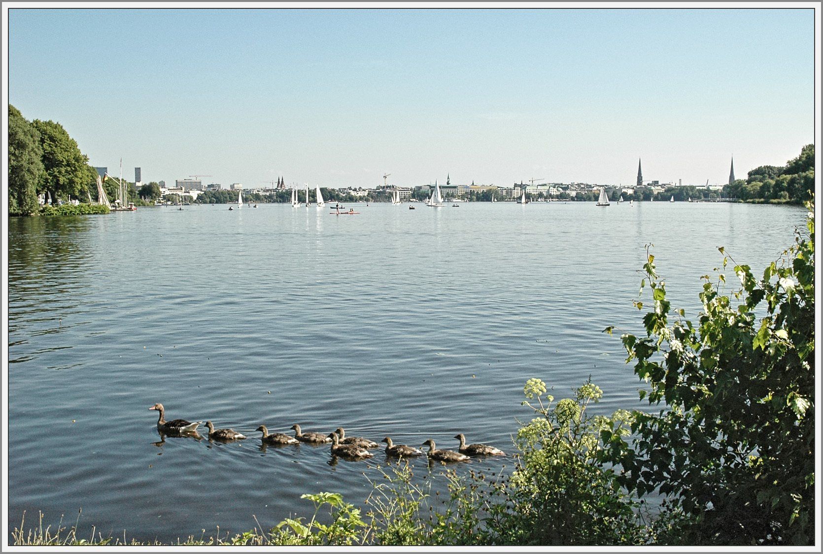 Außenalster Hamburg
