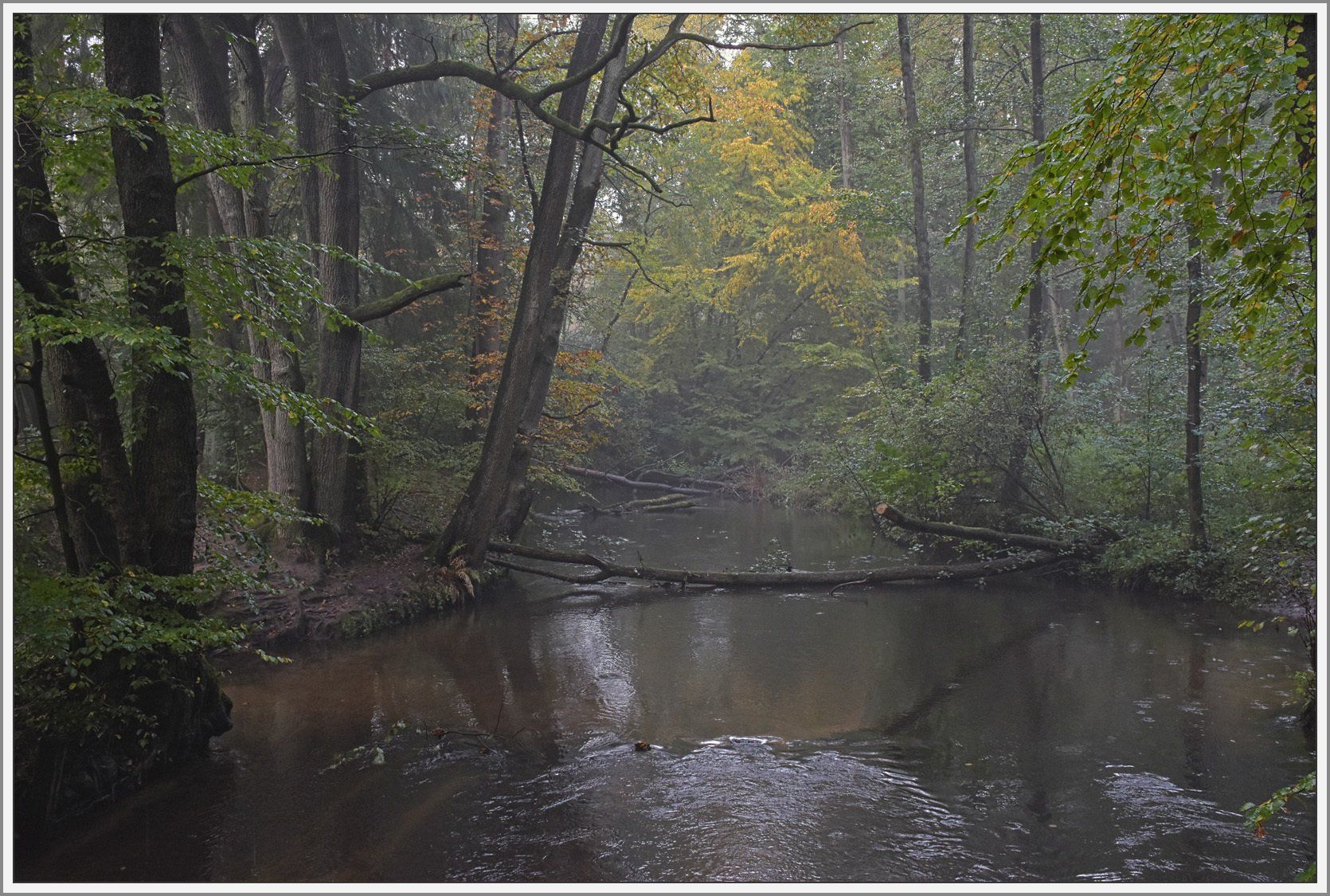 Fluss im herbstlichen Wald