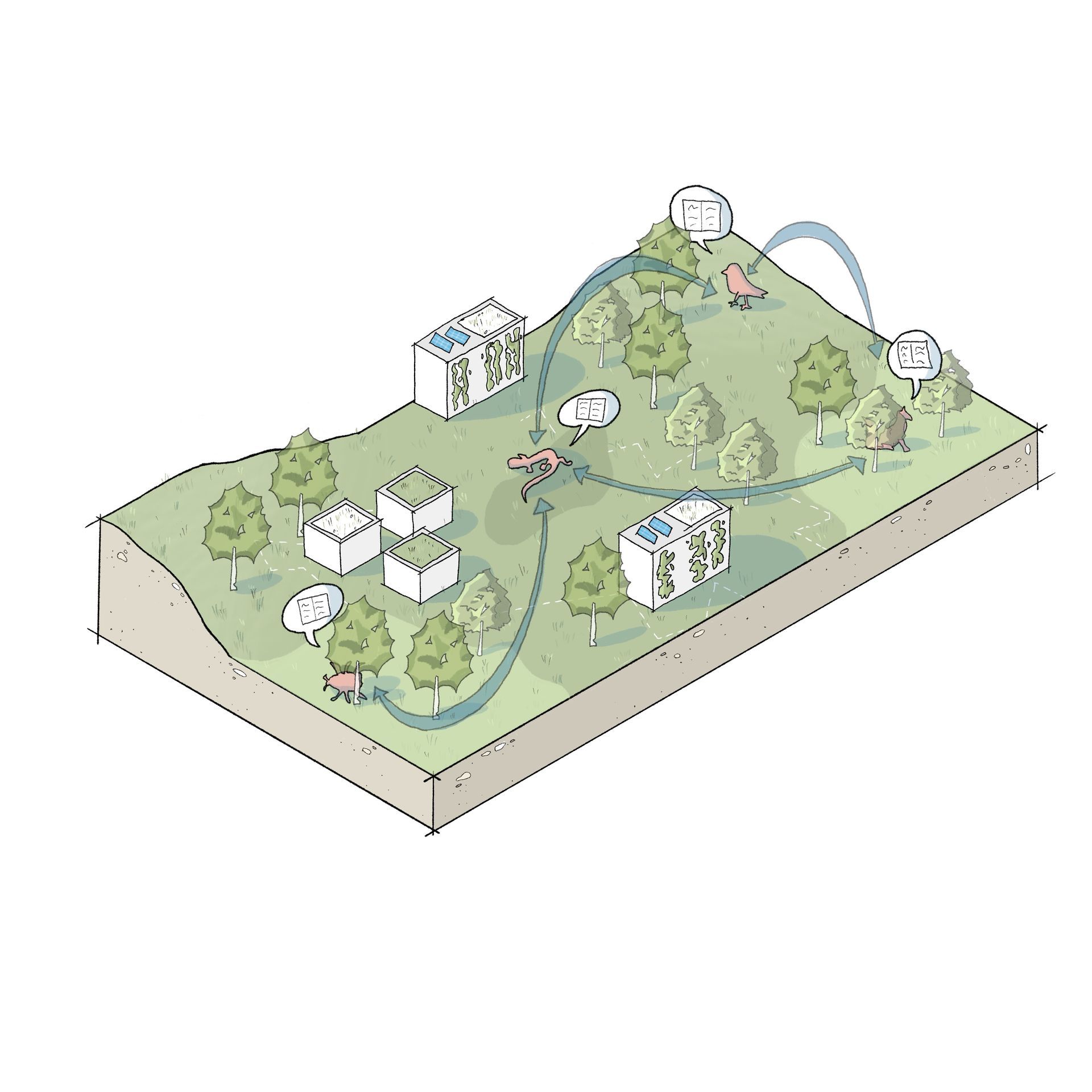 Konzeptblock: Illustration eines Konzeptblocks. Städtebaulich, Thema Biodiversität vor allem Fauna.