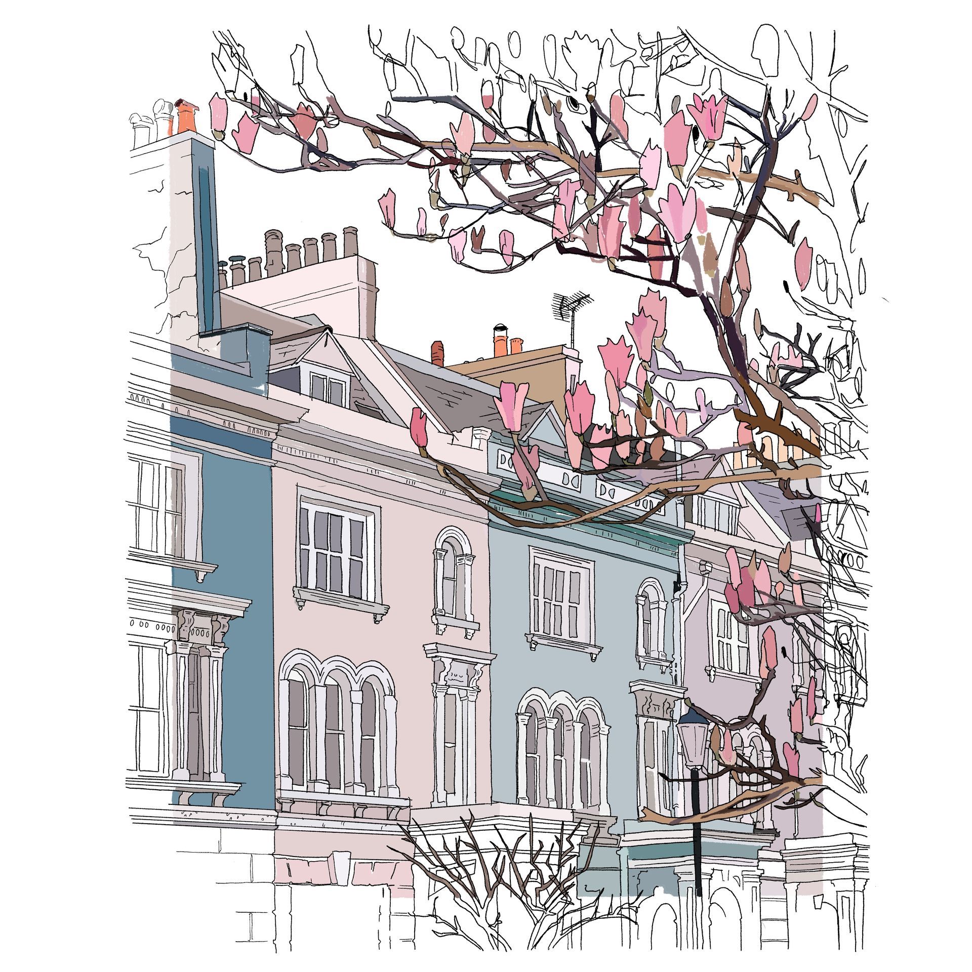 Illustration: Zeichnung einer Häußerfassade mit blühendem Baum im Vordergrund. In Pastelltönen gehalten.