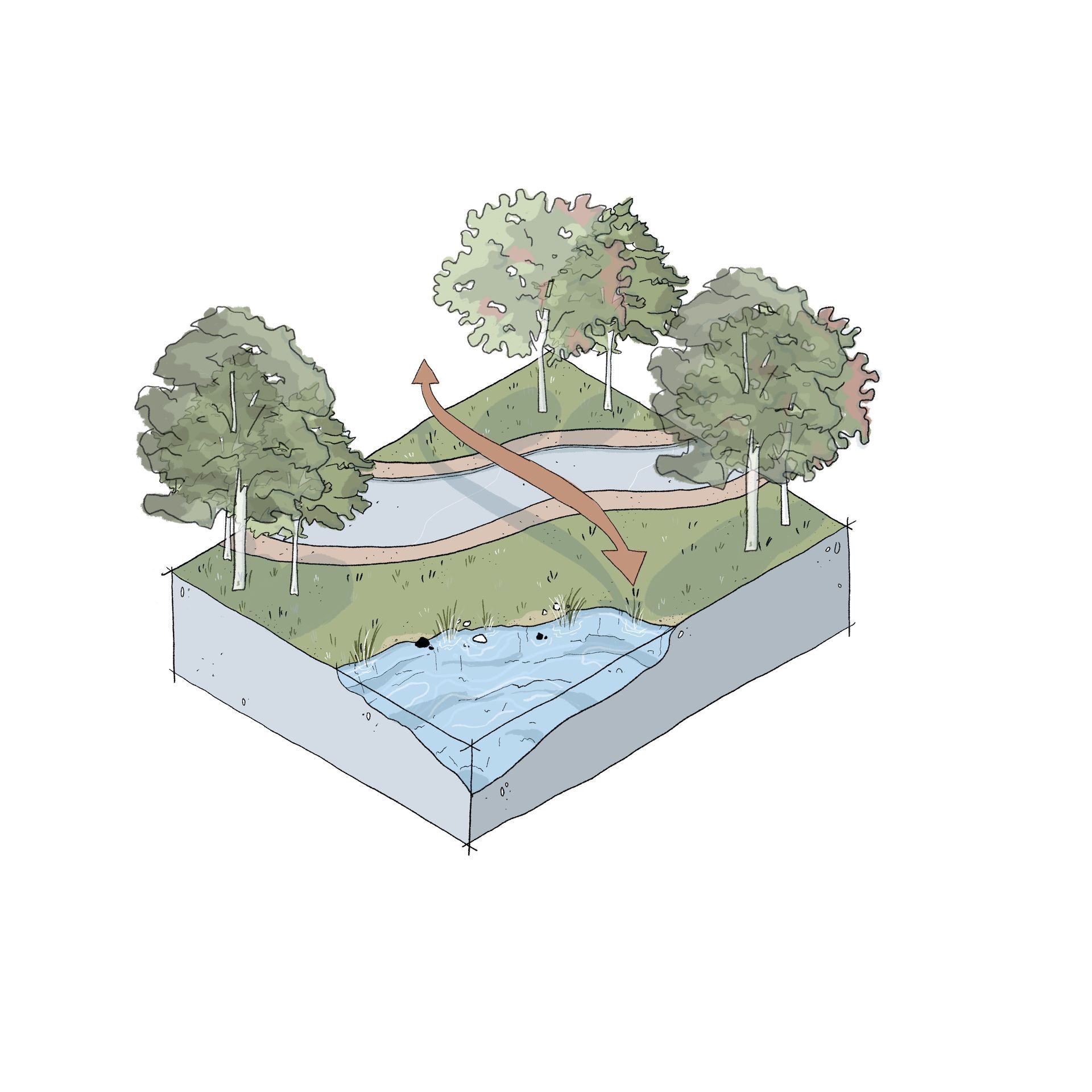 Konzeptblock: Illustration eines Parks, durch Straße zerschnitten. Pfeil verbindet beide Parkteile. Thema Verbindung.