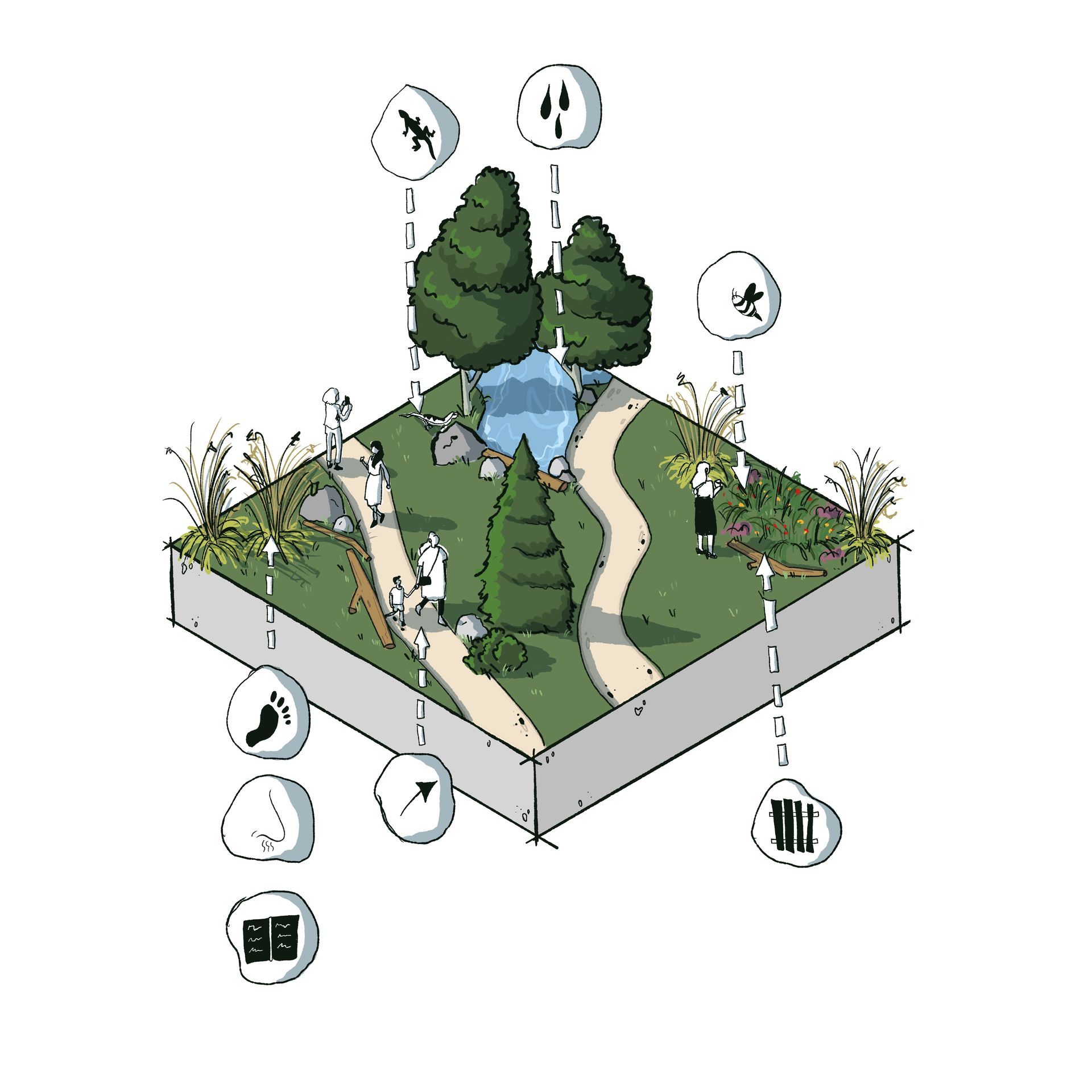 Konzeptblock: Illustration eines Konzeptblocks. Freiraumplanerisch, Thema Biodiversität vor allem Flora.