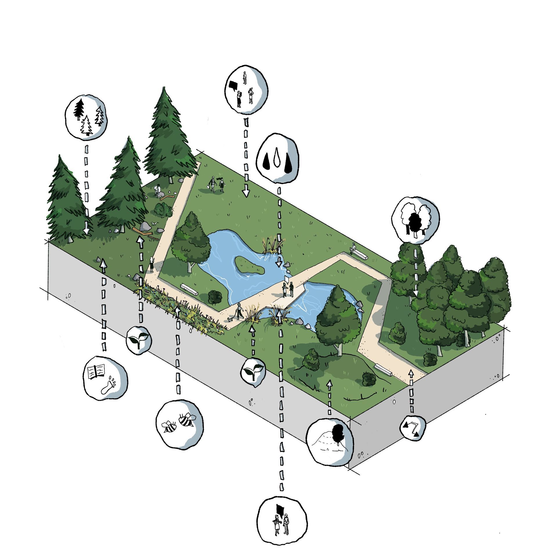Konzeptblock: Illustration eines Konzeptblocks. Freiraumplanerisch, Thema Biodiversität vor allem Flora.
