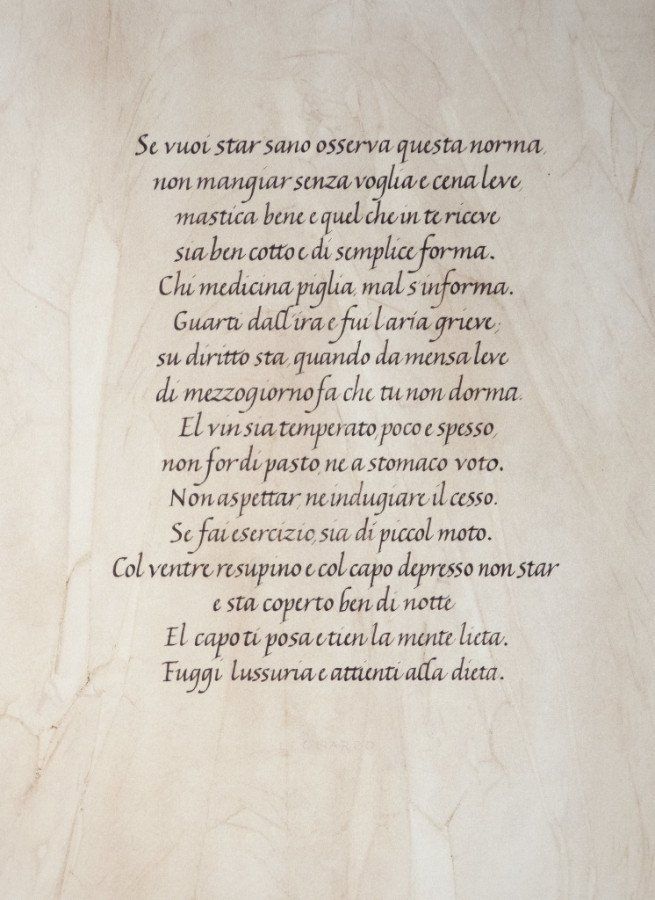 la dieta, the diet. words by Leonardo da Vinci, walnut ink on washed paper.