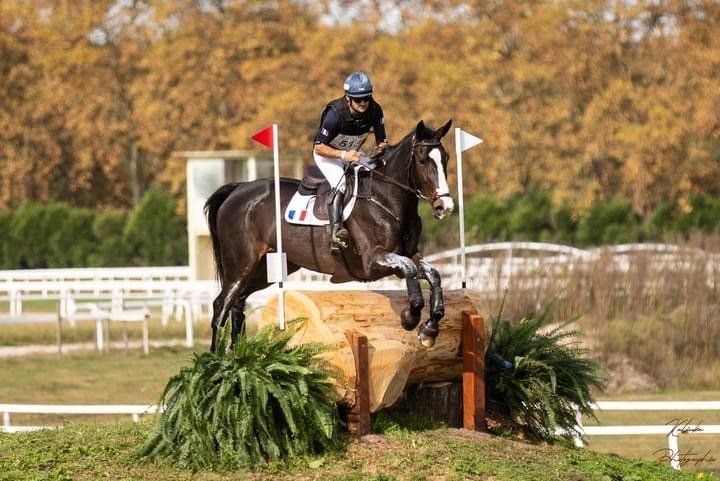 Fabricant d'obstacles de cross, concours complet d'équitation