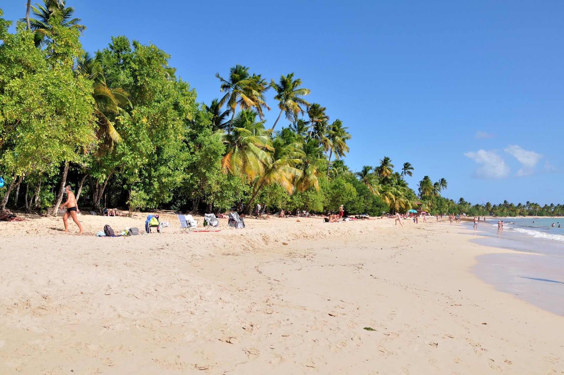 Strand Les Salines in Martinique