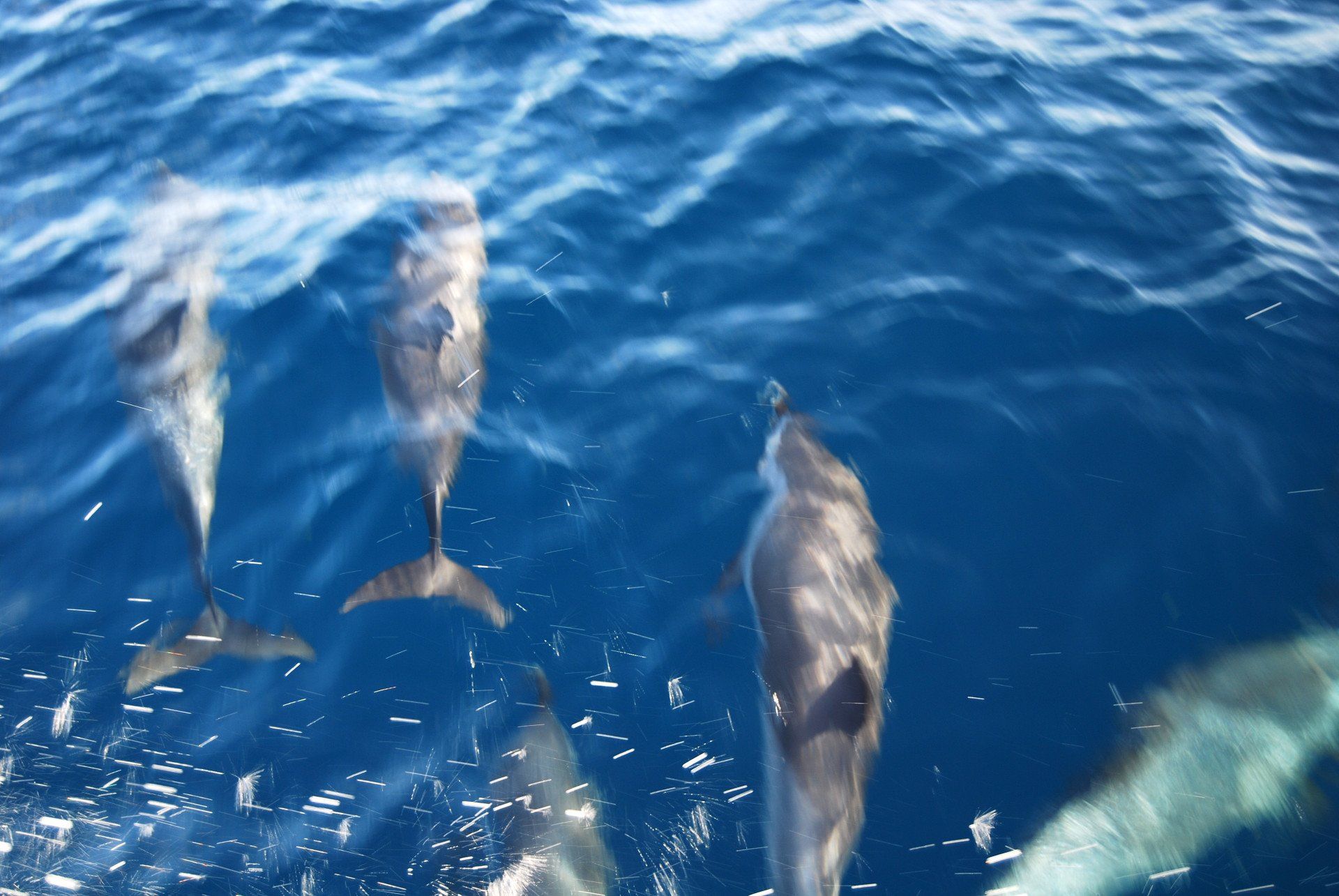 Martinique Diamantfelsen, Diamond Rock, Rocher du Diamant