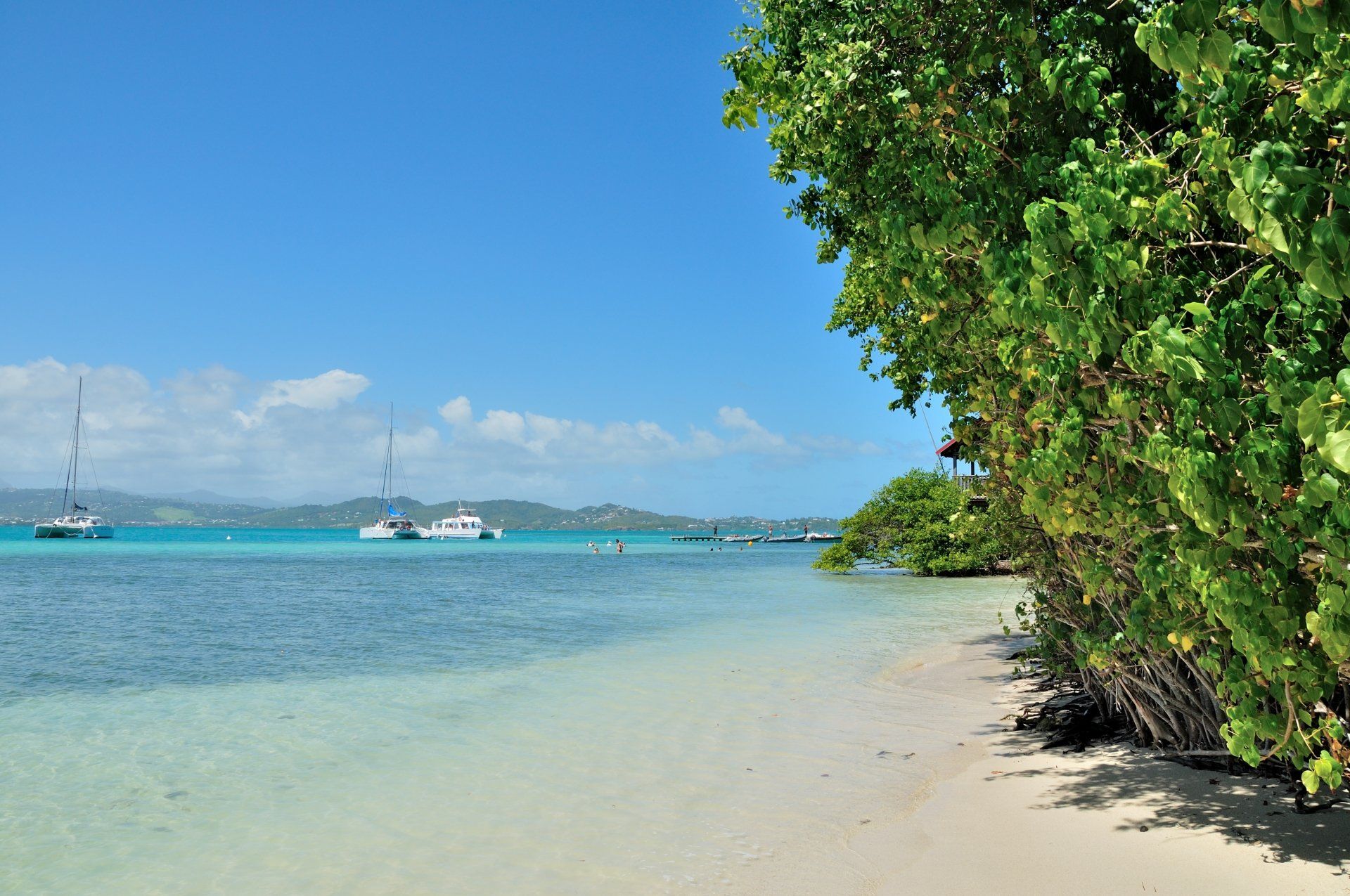 Martinique Fonds Blancs vor Le Francois