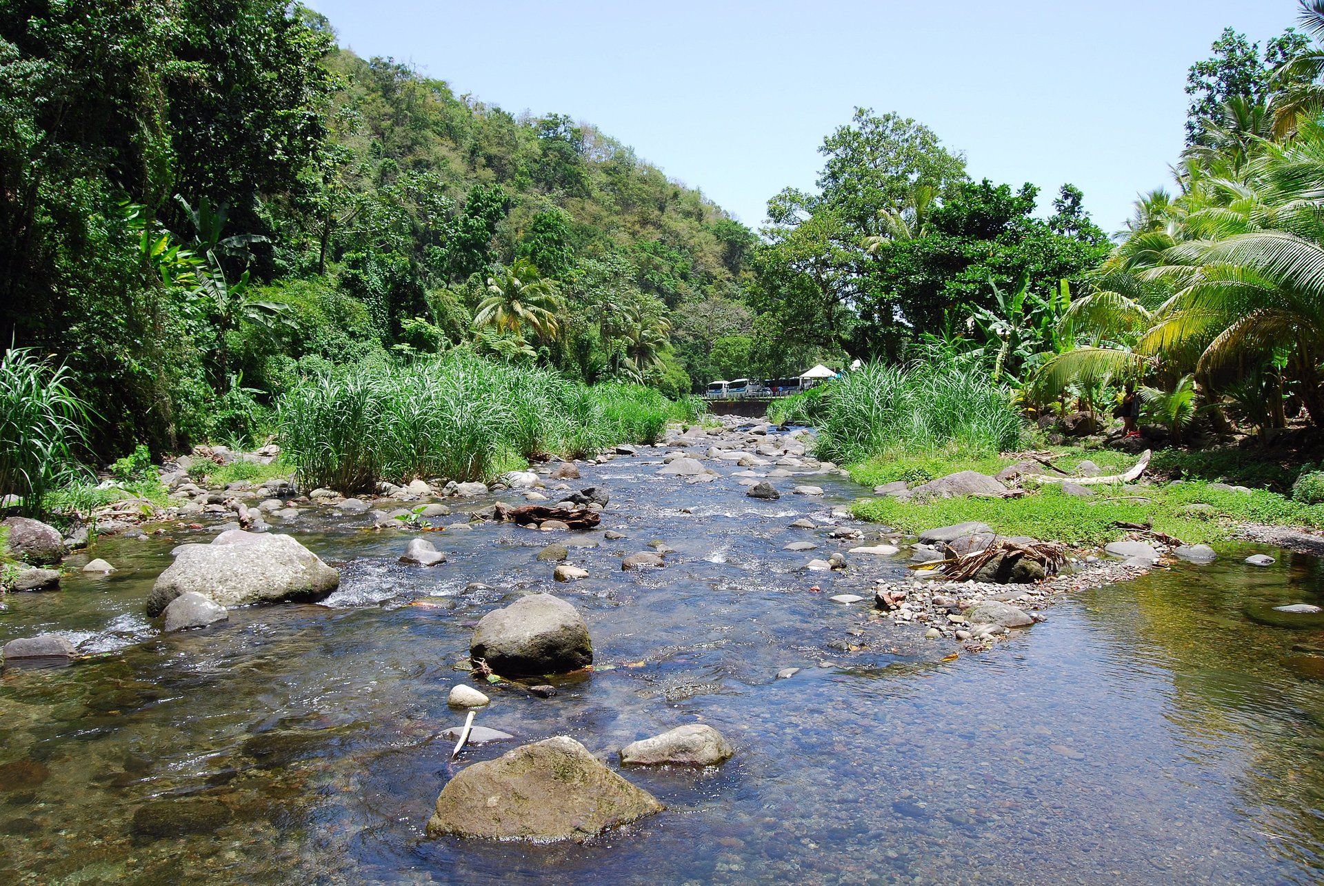 Der Fluss in Grand Riviere
