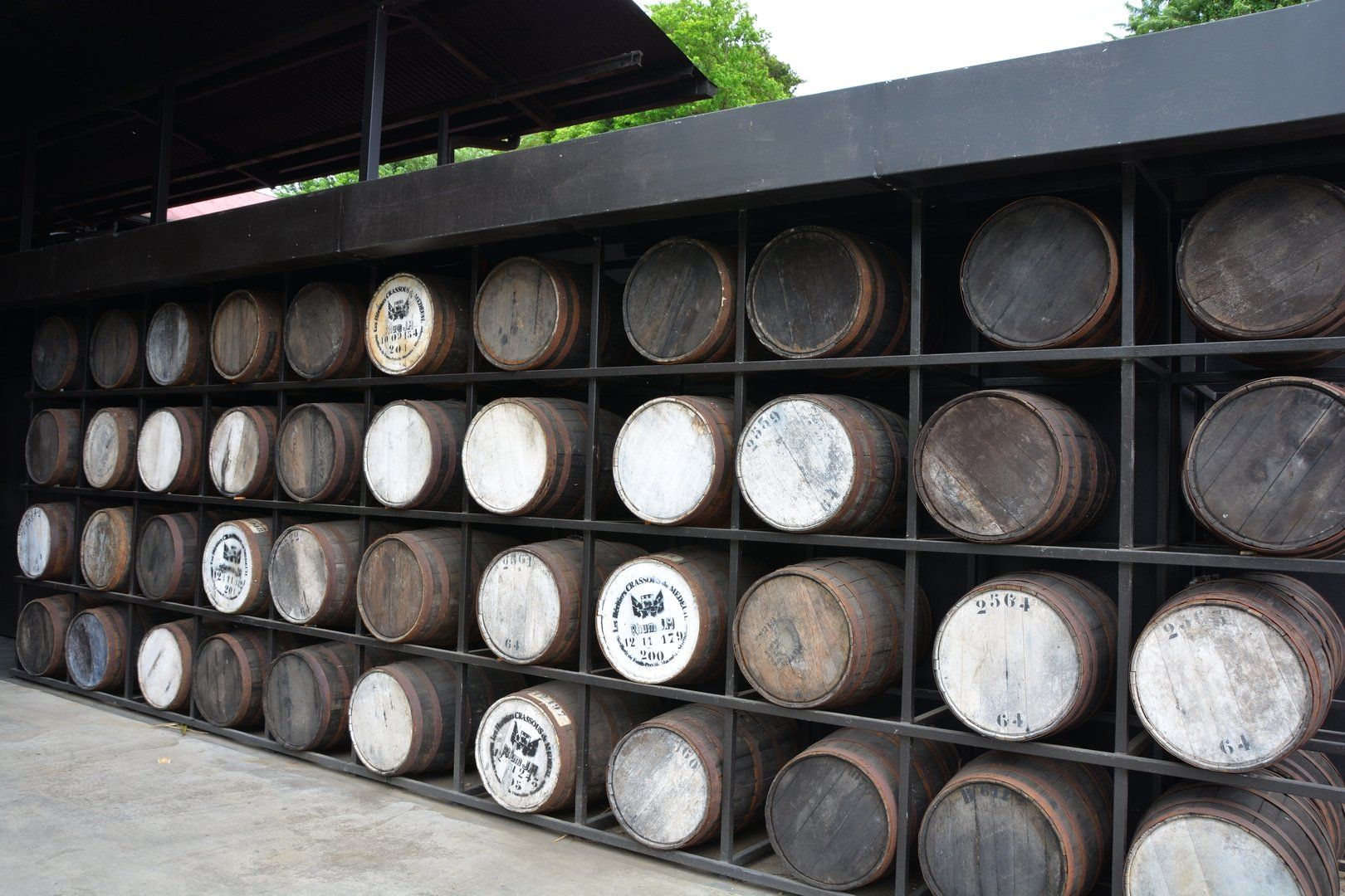 Rum-Fässer in der Destillerie Rhum J. M in Macouba