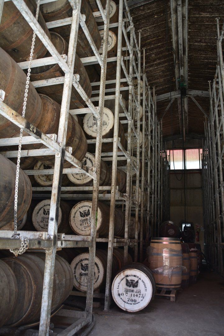 Rum-Fässer in Destillerie Rhum J. M in Macouba