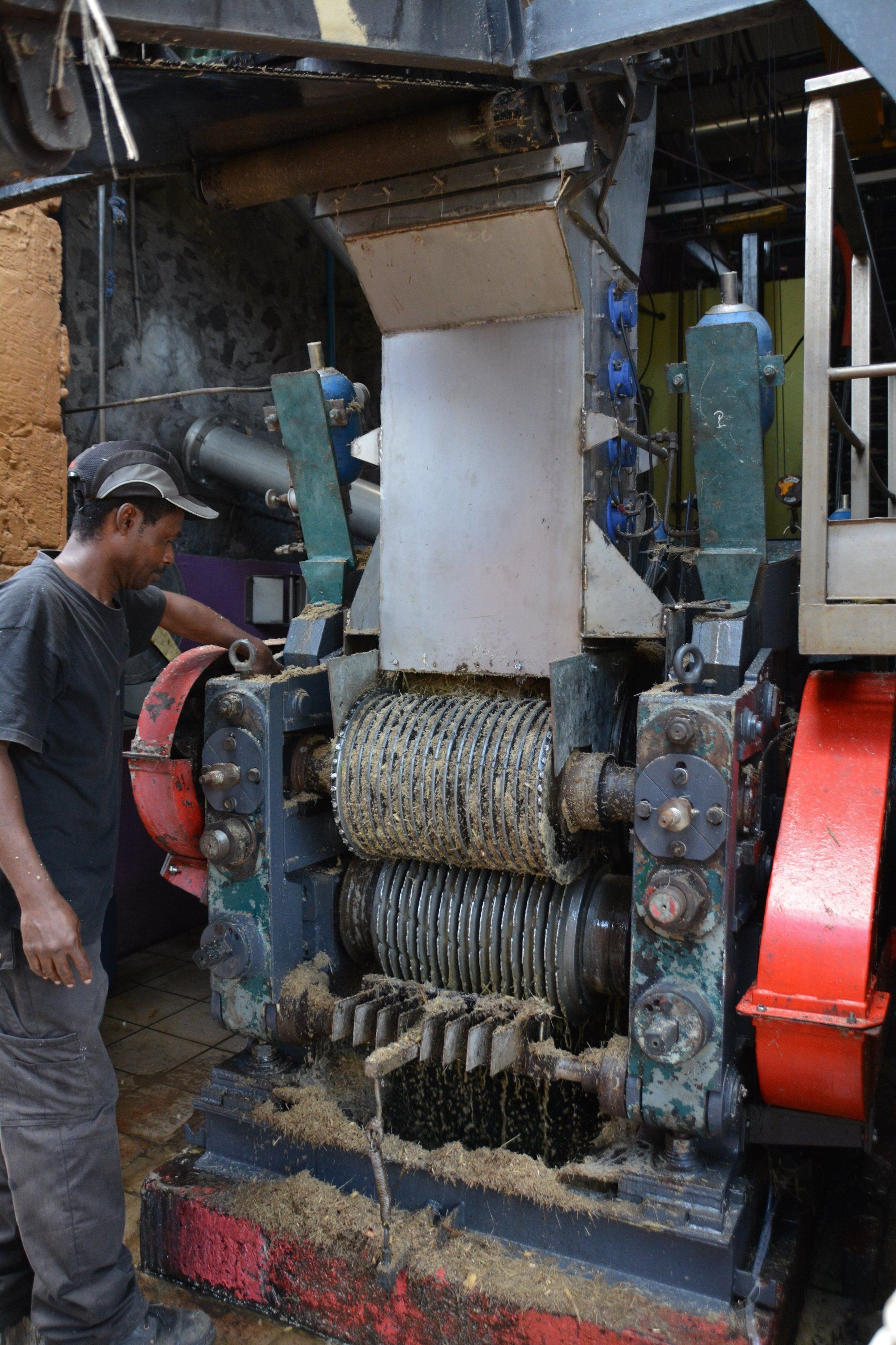 Zuckerrohr wird gepresst