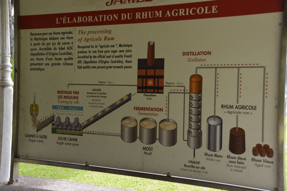 Rhum Agricole Herstellung