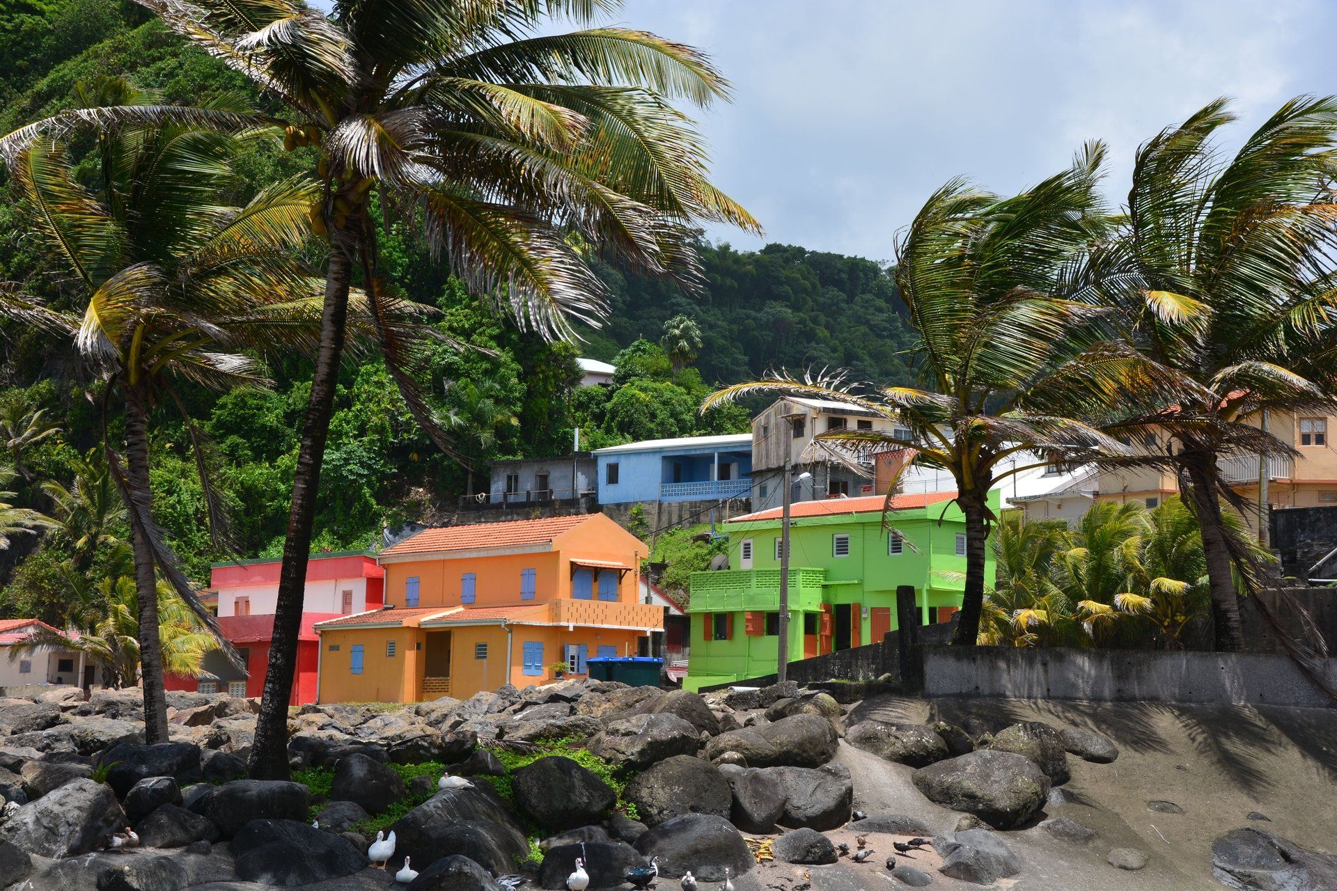 Bunte Häuser in Grand Riviere, Martinique