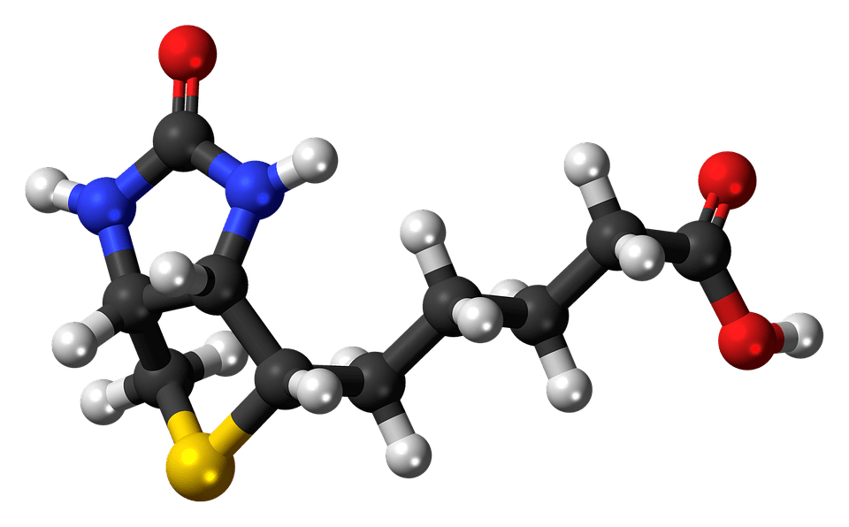 nutrición ortomolecular