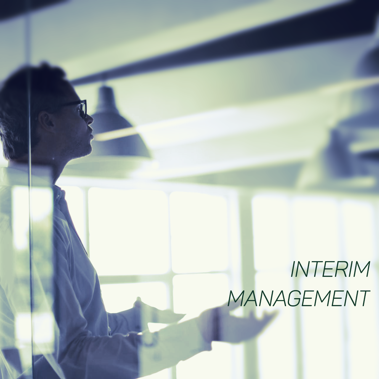 Interim Management Energy Projects