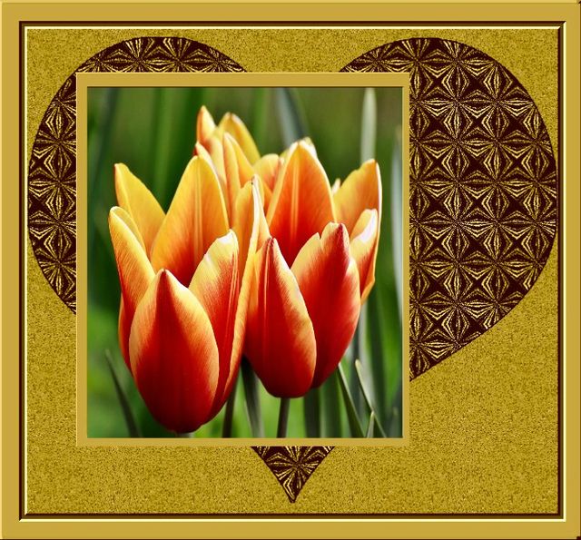 Download Fantasi sprueche For iPhone Free